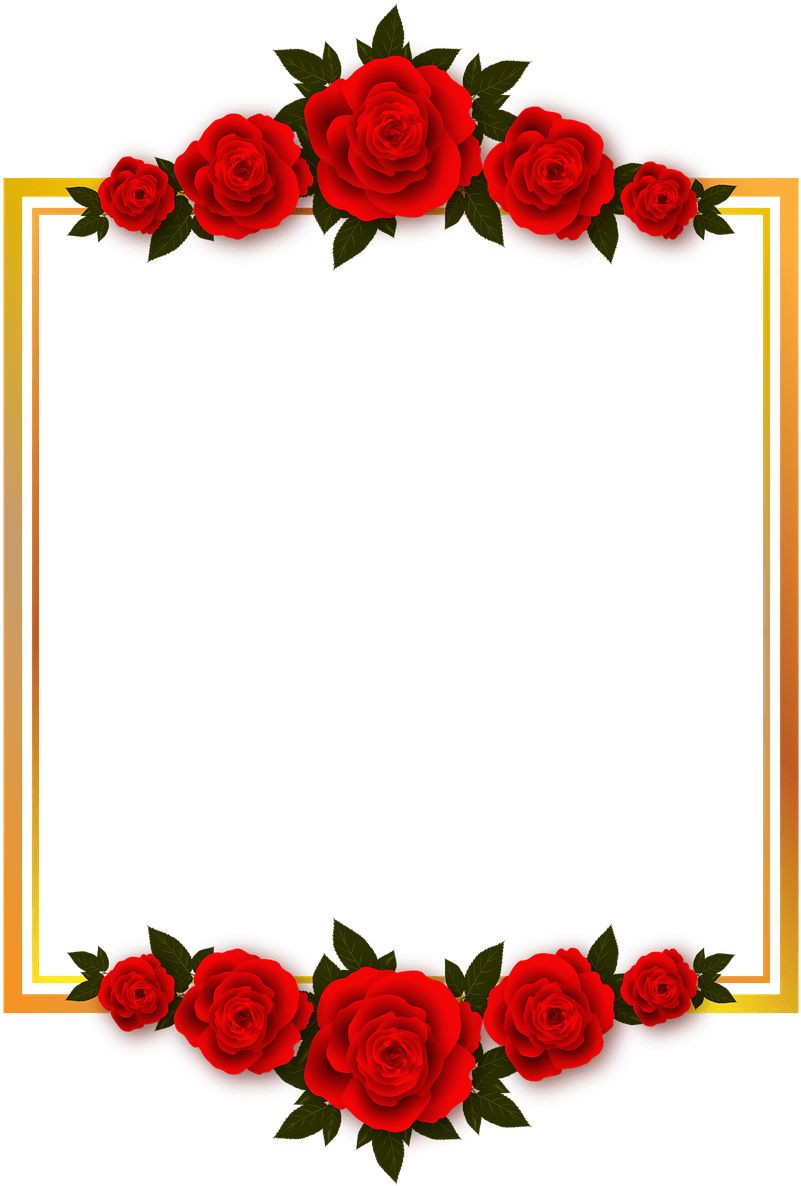 801x1186 Rose Floral Photo Frame Transparent PNG
