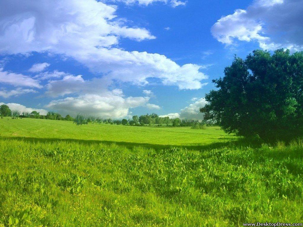 1024x768 Desktop Wallpaper Natural Background Natural Beauty