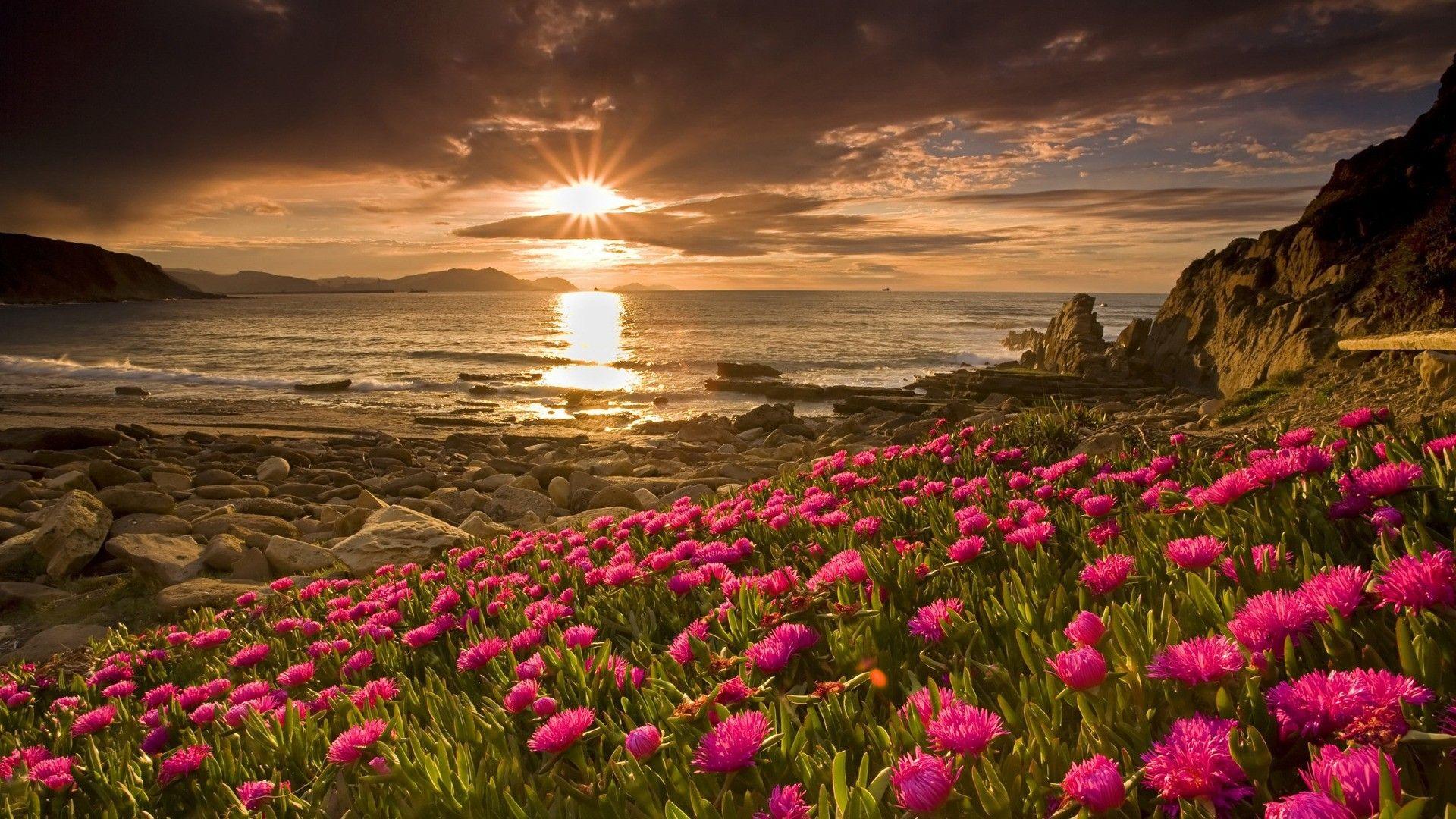 1920x1080 HD Nature Wallpaper for Laptop