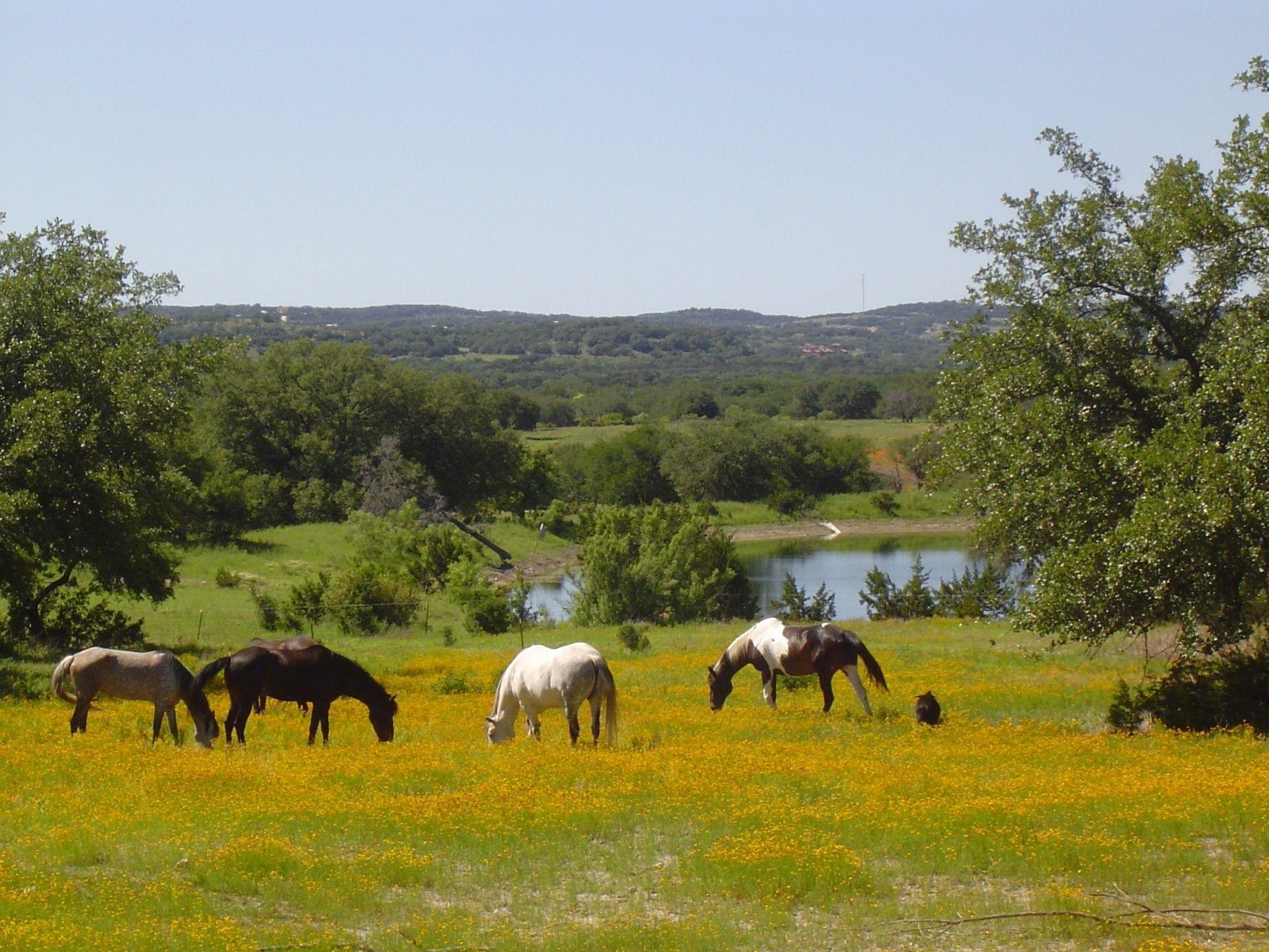 2048x1536 Texas Ranch Wallpaper / Star ULTRA HD Textures