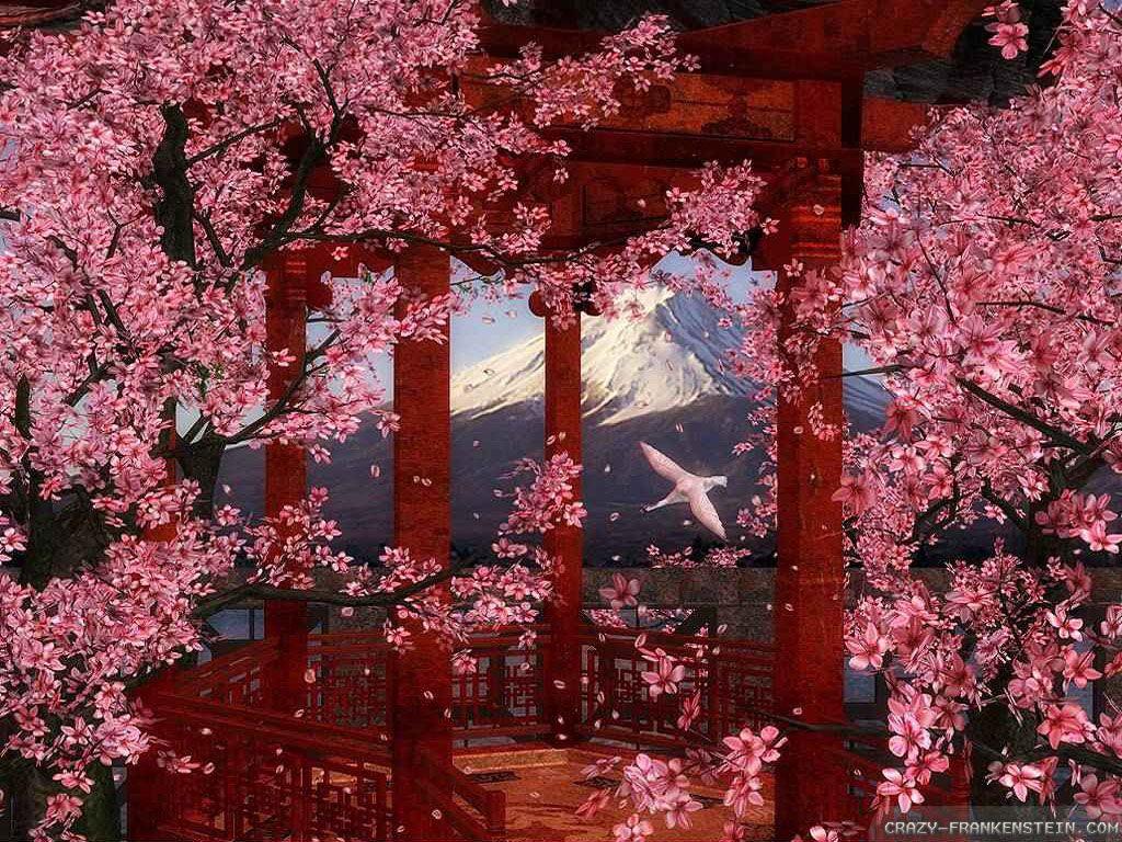 1024x768 Japanese Flowers Wallpaper HD