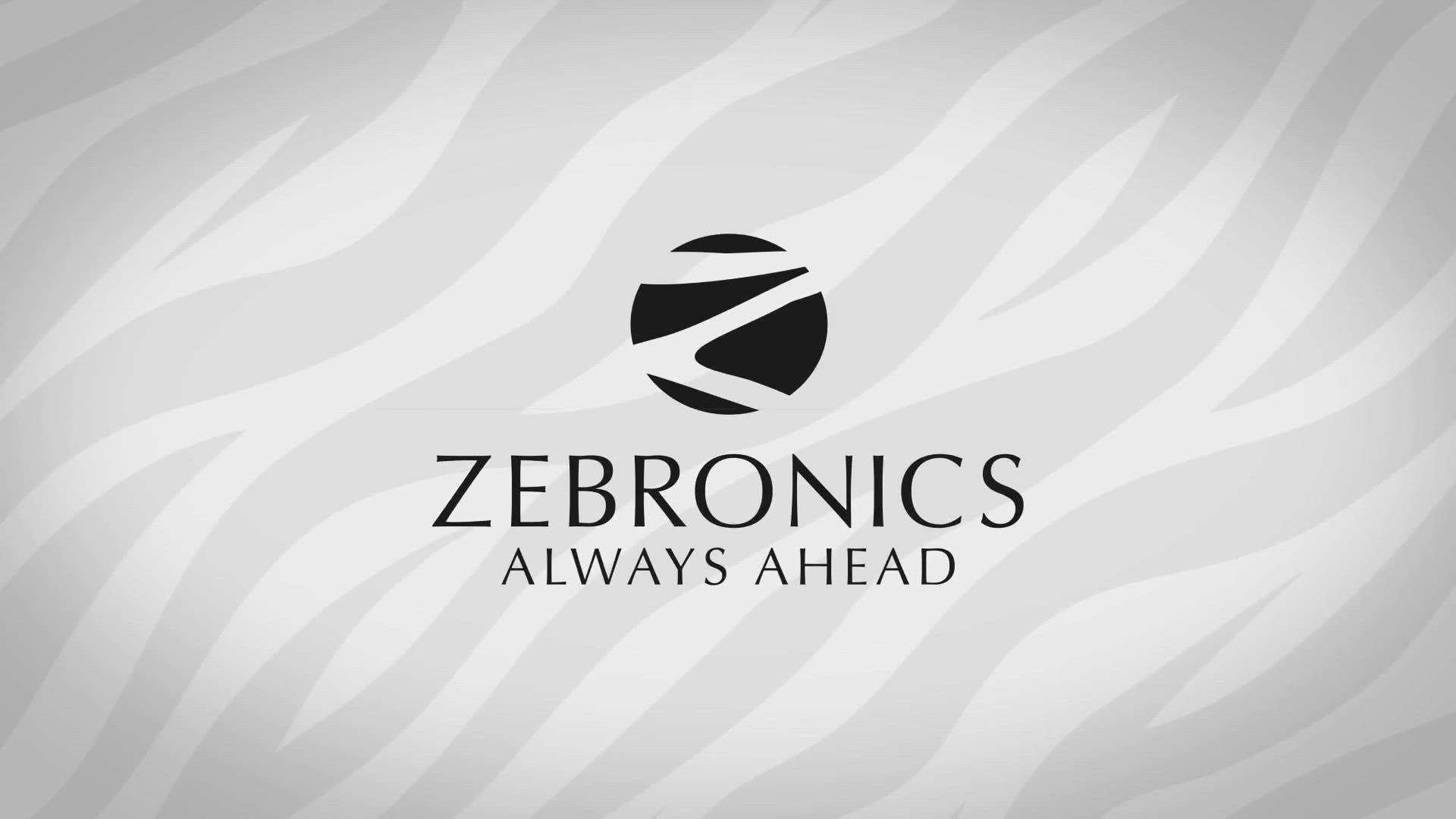 1920x1080 ZEBRONICS Zeb Delight Wireless Speaker Grey Watch Product Video
