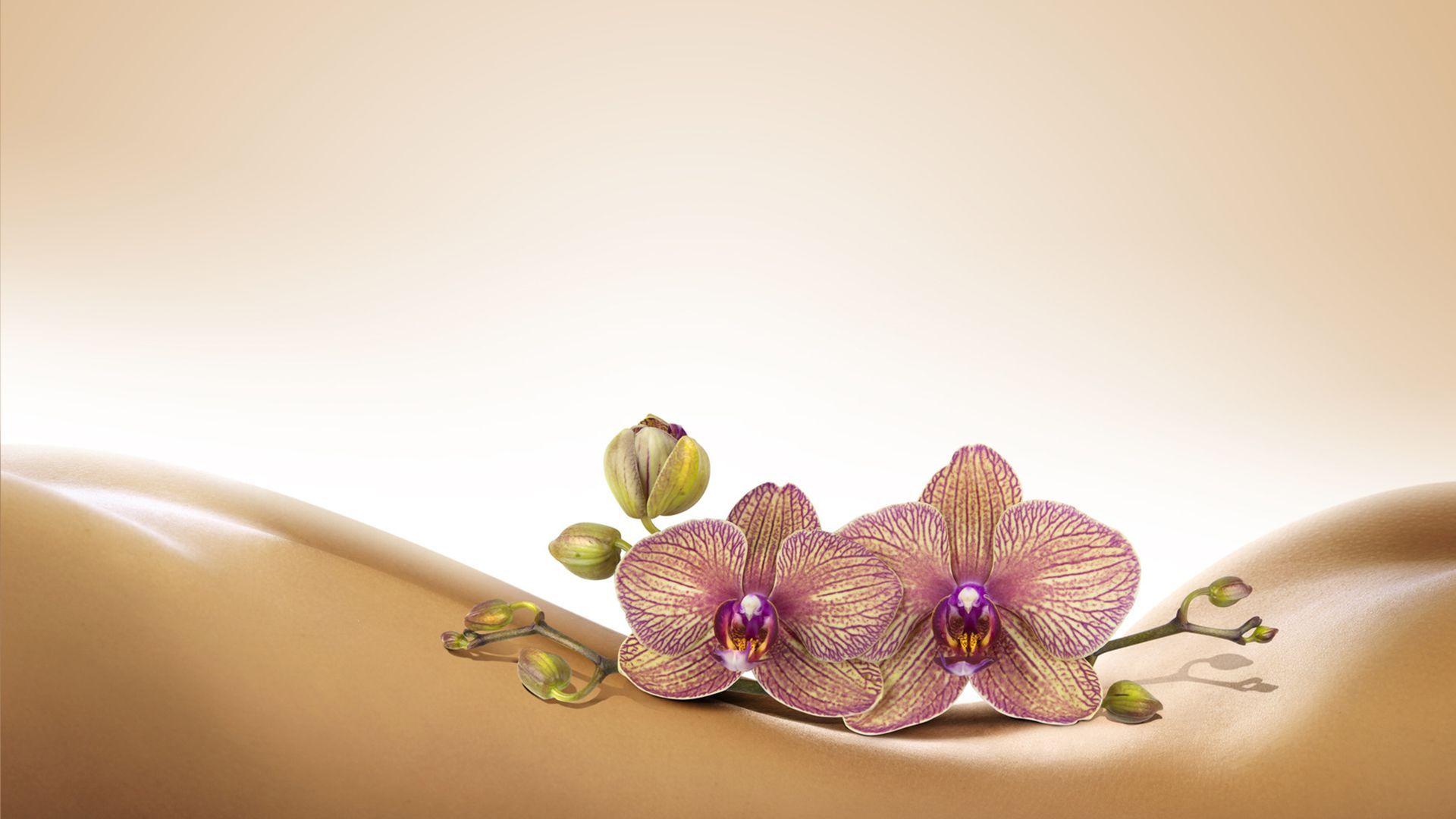 1920x1080 Massages Wallpaper
