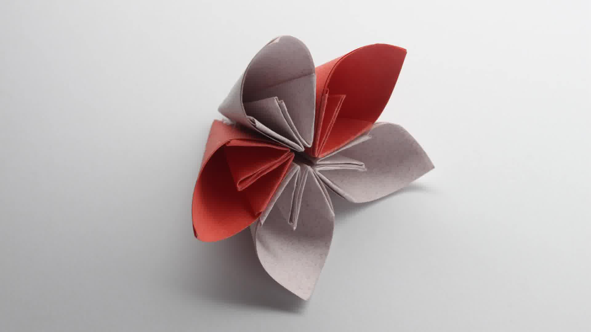 1920x1080 Easy Origami Flower, High Definition, High