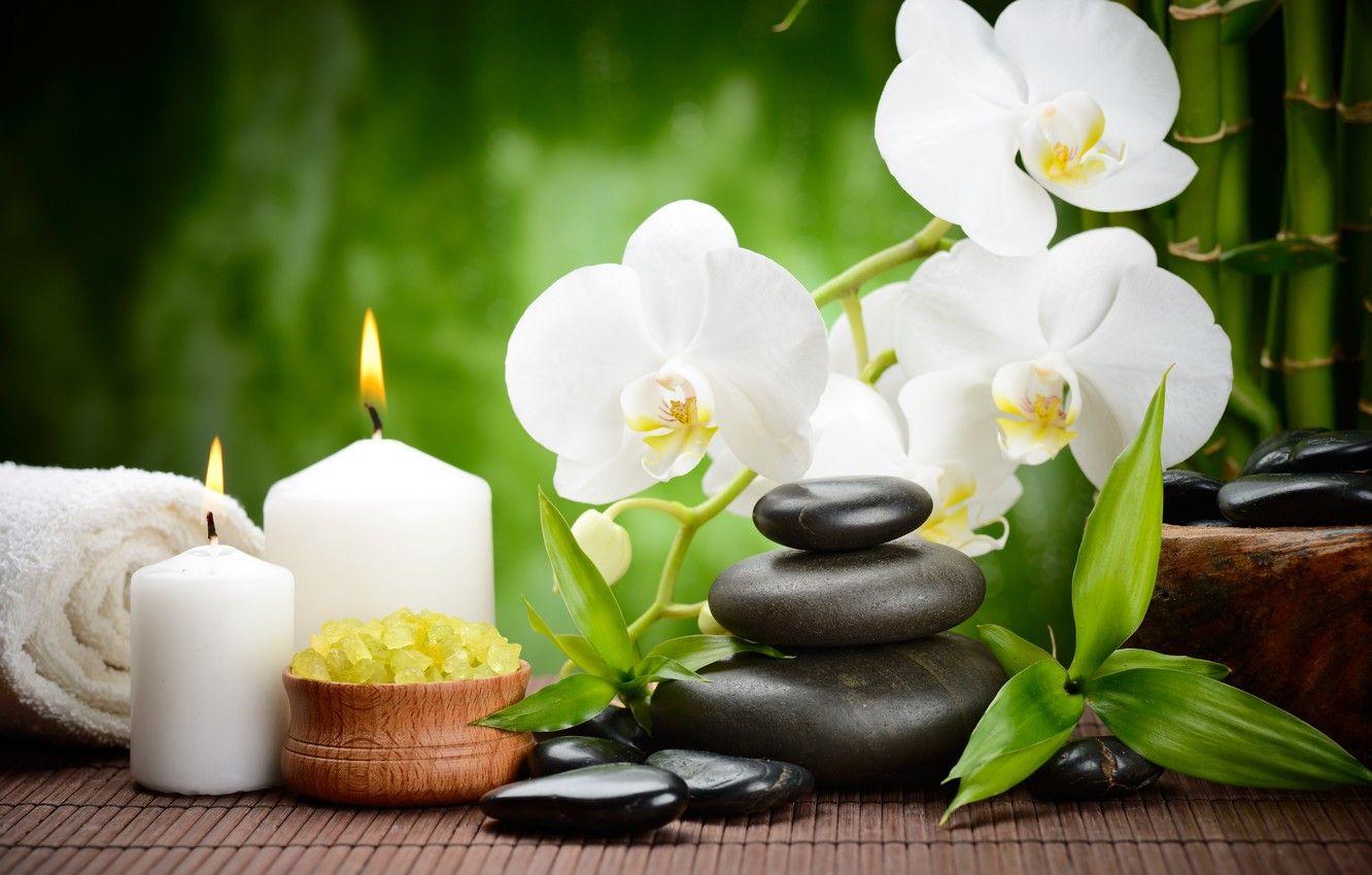 1332x850 Wallpaper flower, stones, candles, bamboo, black, Orchid
