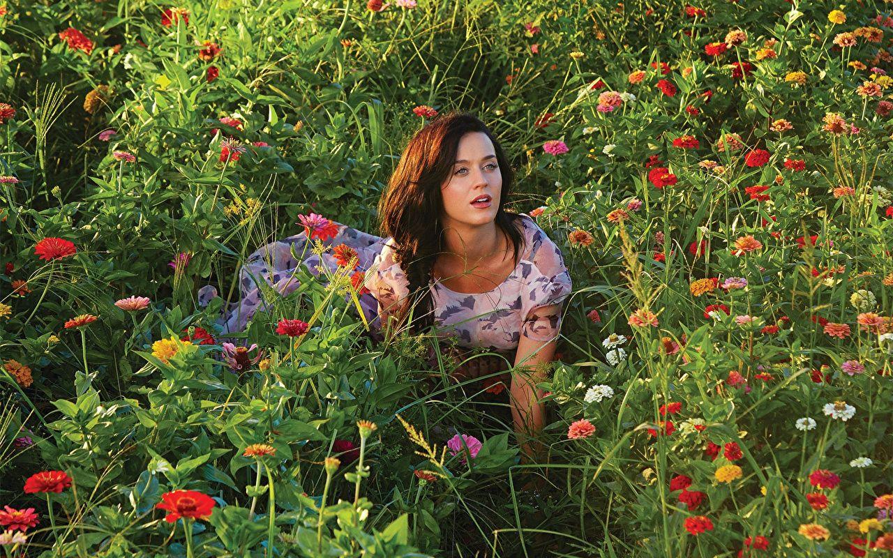 1280x800 Desktop Wallpaper Katy Perry Music young woman Flowers Grass