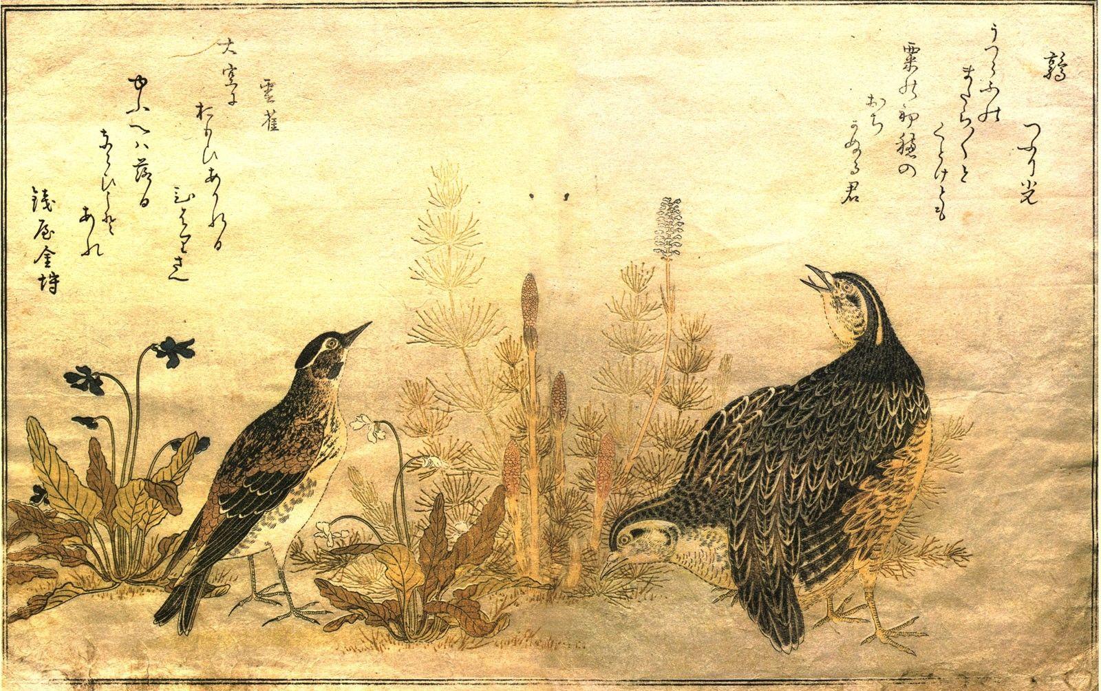 1600x1004 birds japanese artwork pheasant wagtails kitagawa utamaro