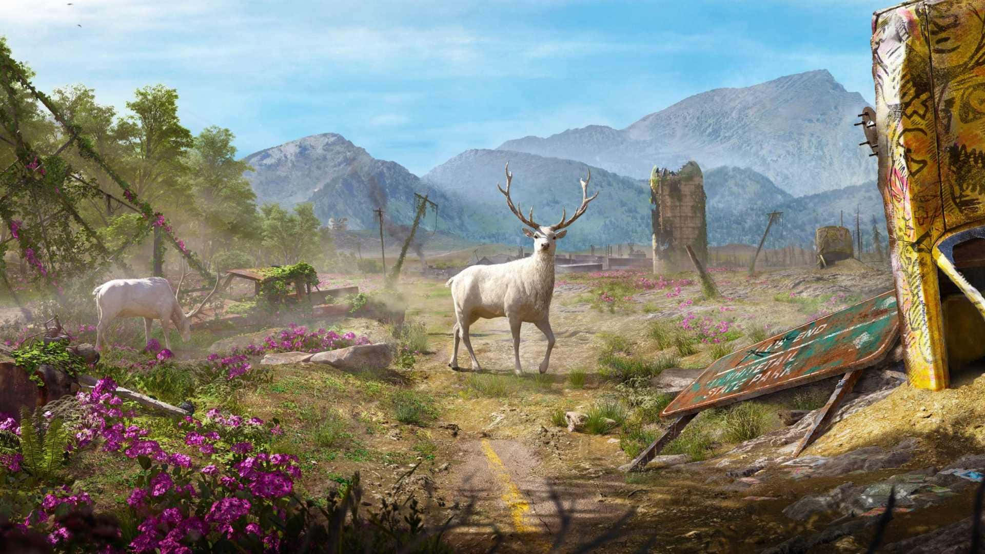 1920x1080 Far Cry New Dawn