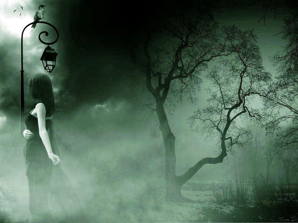 1024x768 dark forest landscape 4 HD Wallpaper