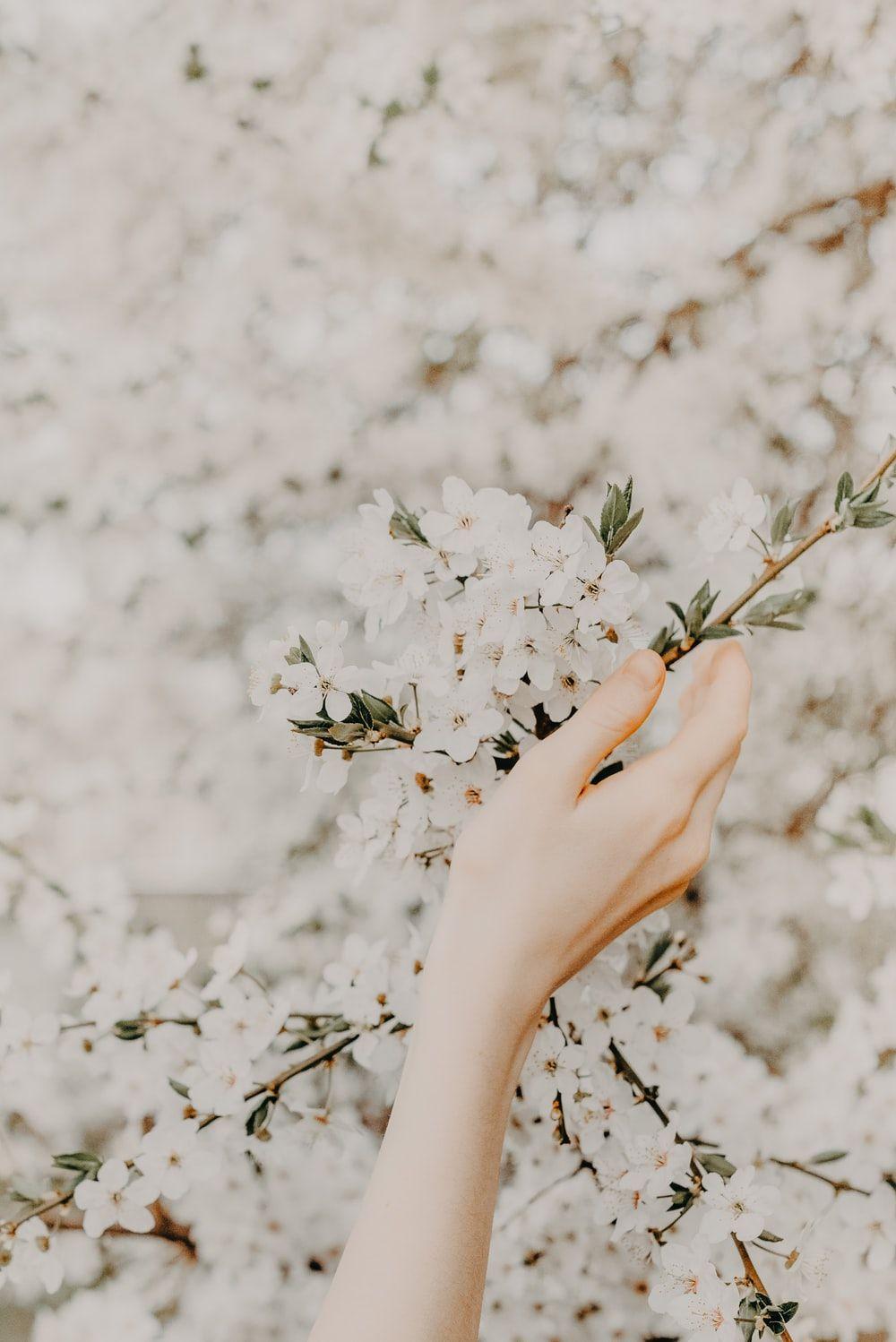 1000x1498 Massage. Reiki best free massage, hand, flower