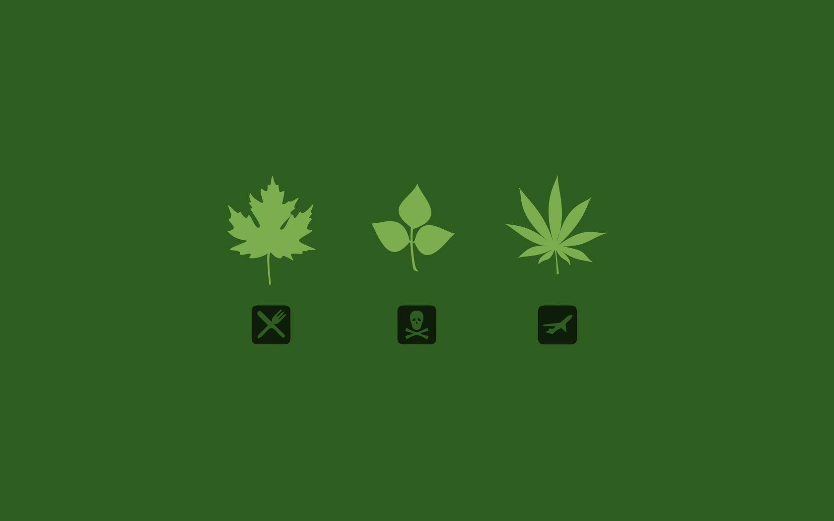 1680x1050 Download Leaves Marijuana Wallpaper 1680x1050