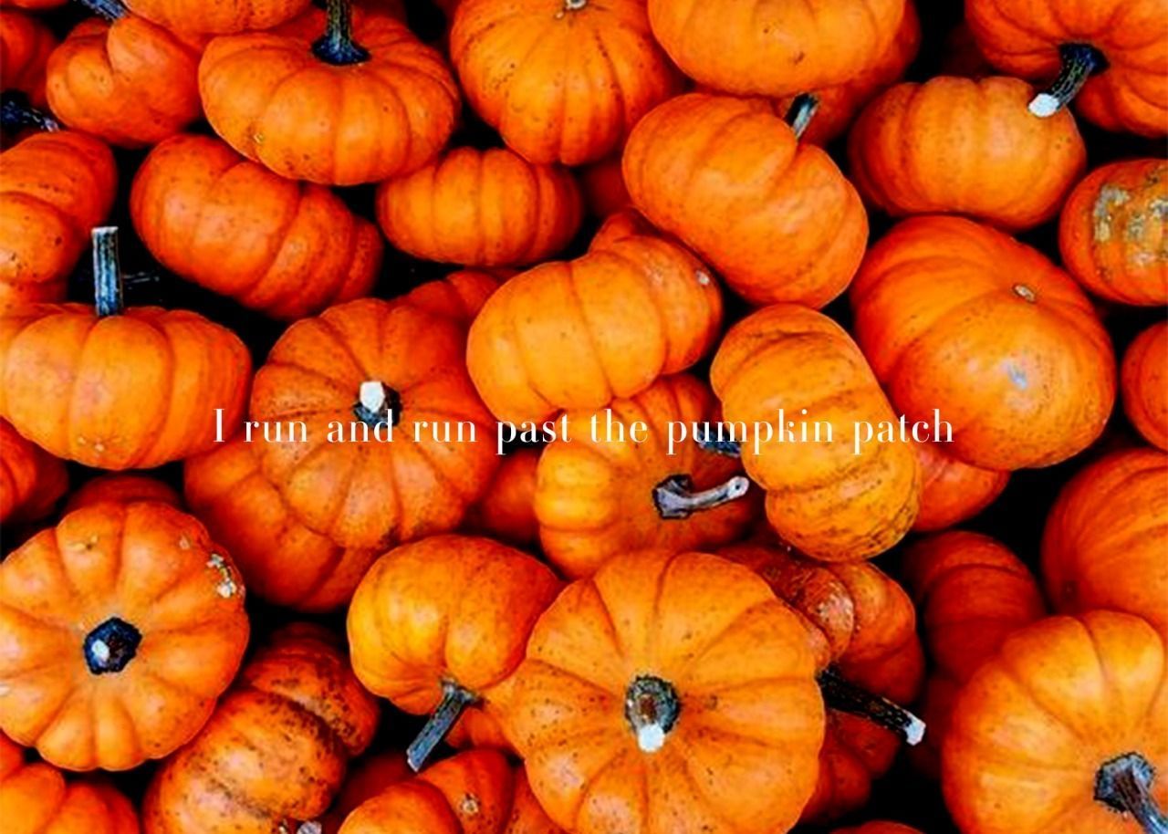 Taylor Swift Halloween Wallpapers - Top Free Taylor Swift Halloween