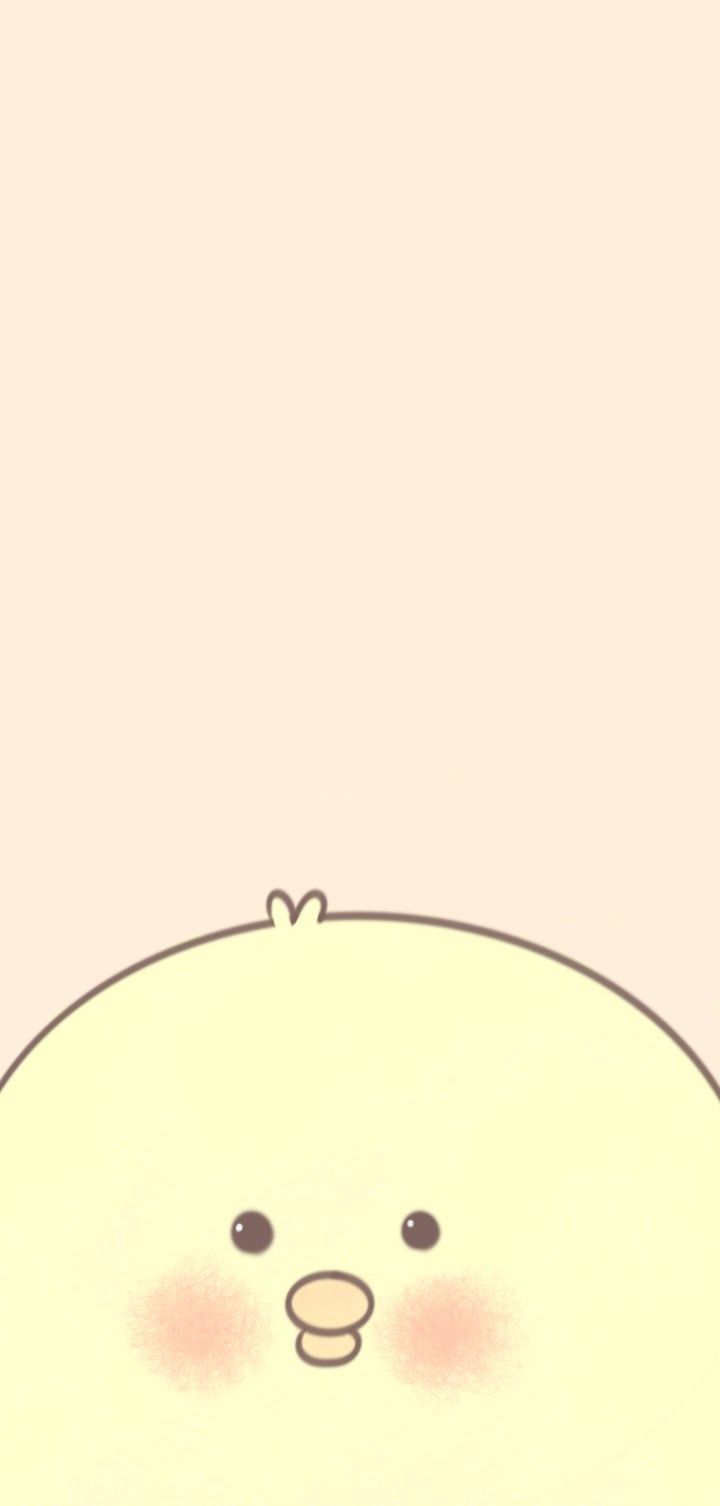 720x1506 Cute baby Chicken wallpaper