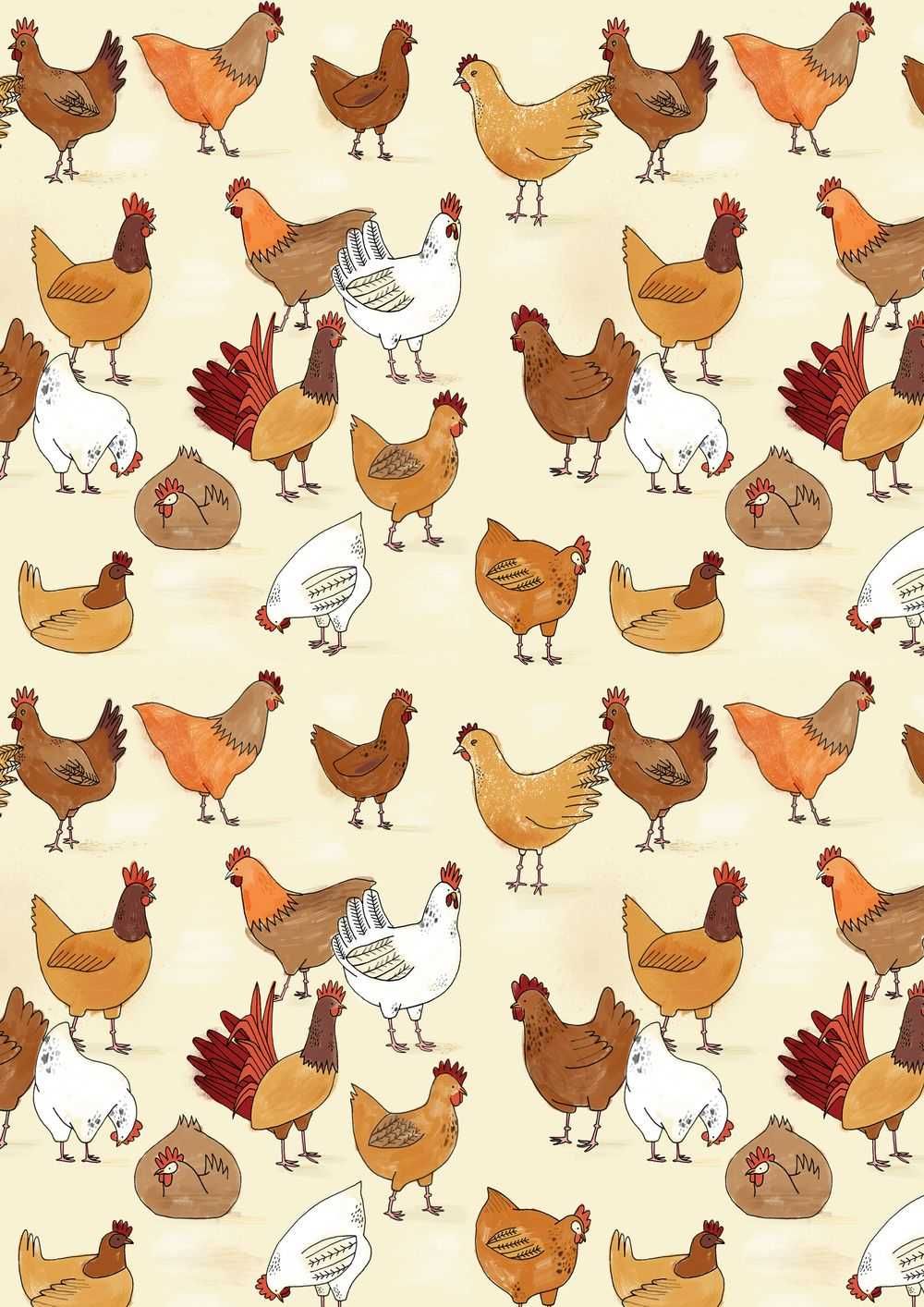 1000x1414 Chicken Wallpaper