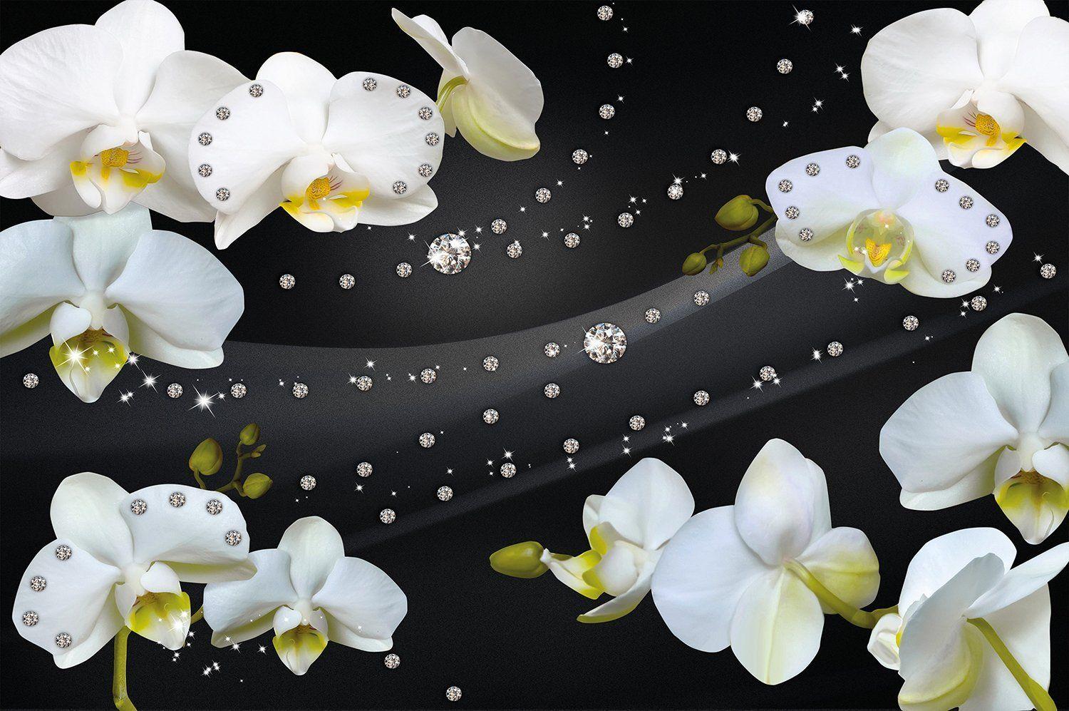1500x997 Great Art Orchid With Diamond Glamour Black Background Wall Decoration Flower Motiv XXL Wallpaper (55 Inch X 39.4 Inch 140 Cm X 100 Cm)