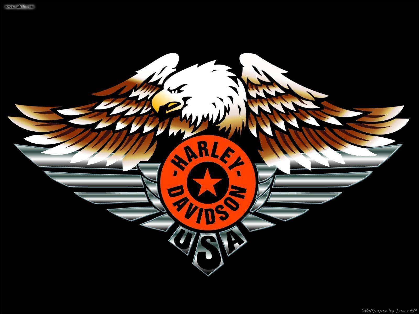 1600x1200 Harley Davidson Logo Eagle