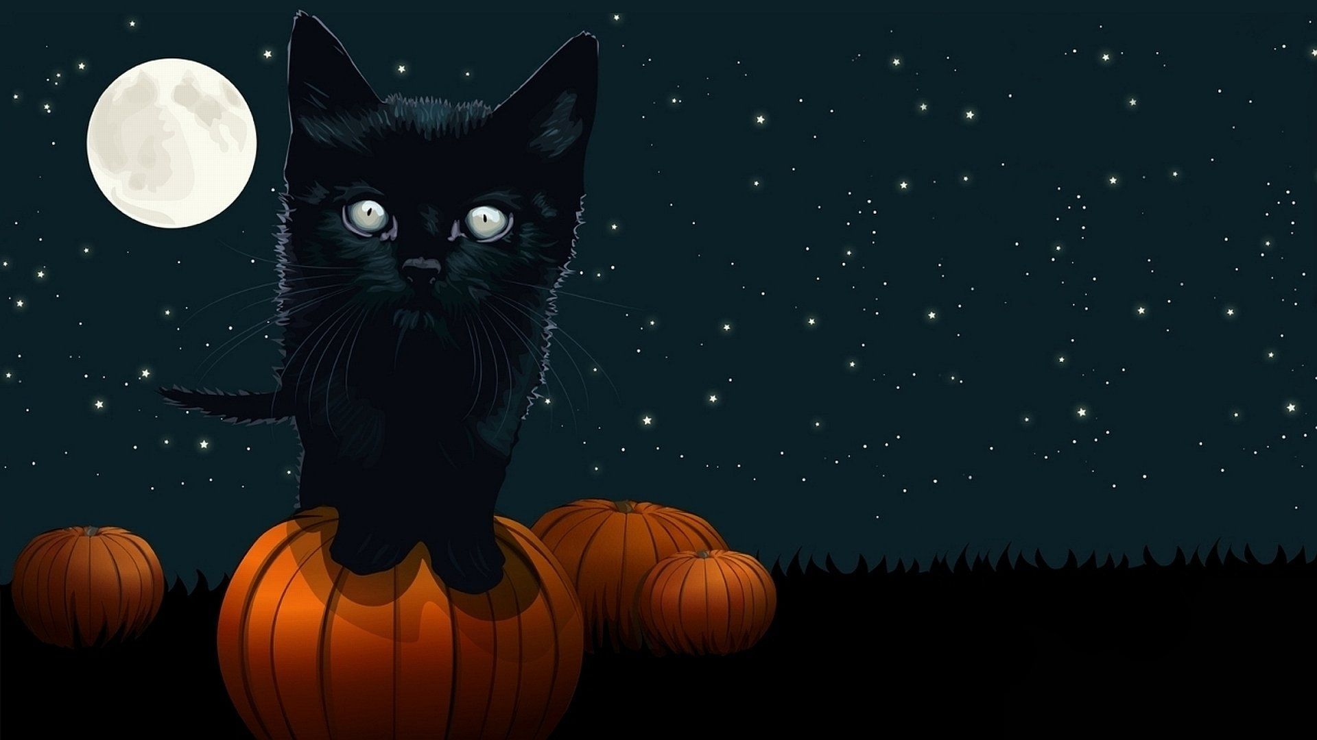 1920x1080 Spooky Cat and Pumpkin under Full Moon