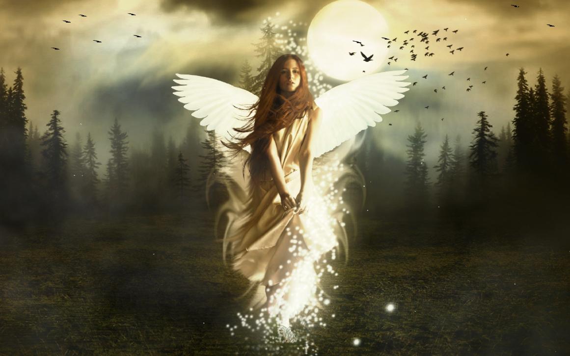 1161x726 Angel Wallpaper