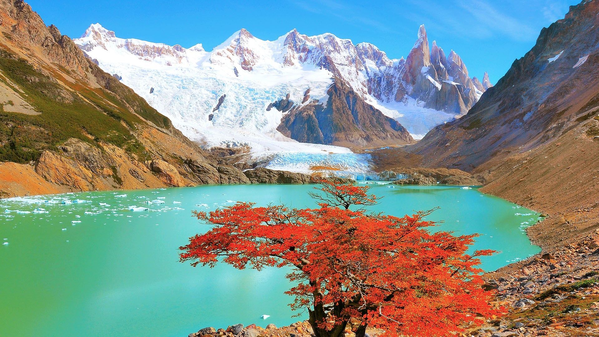 1920x1080 Autumn tree by the lake near Cerro