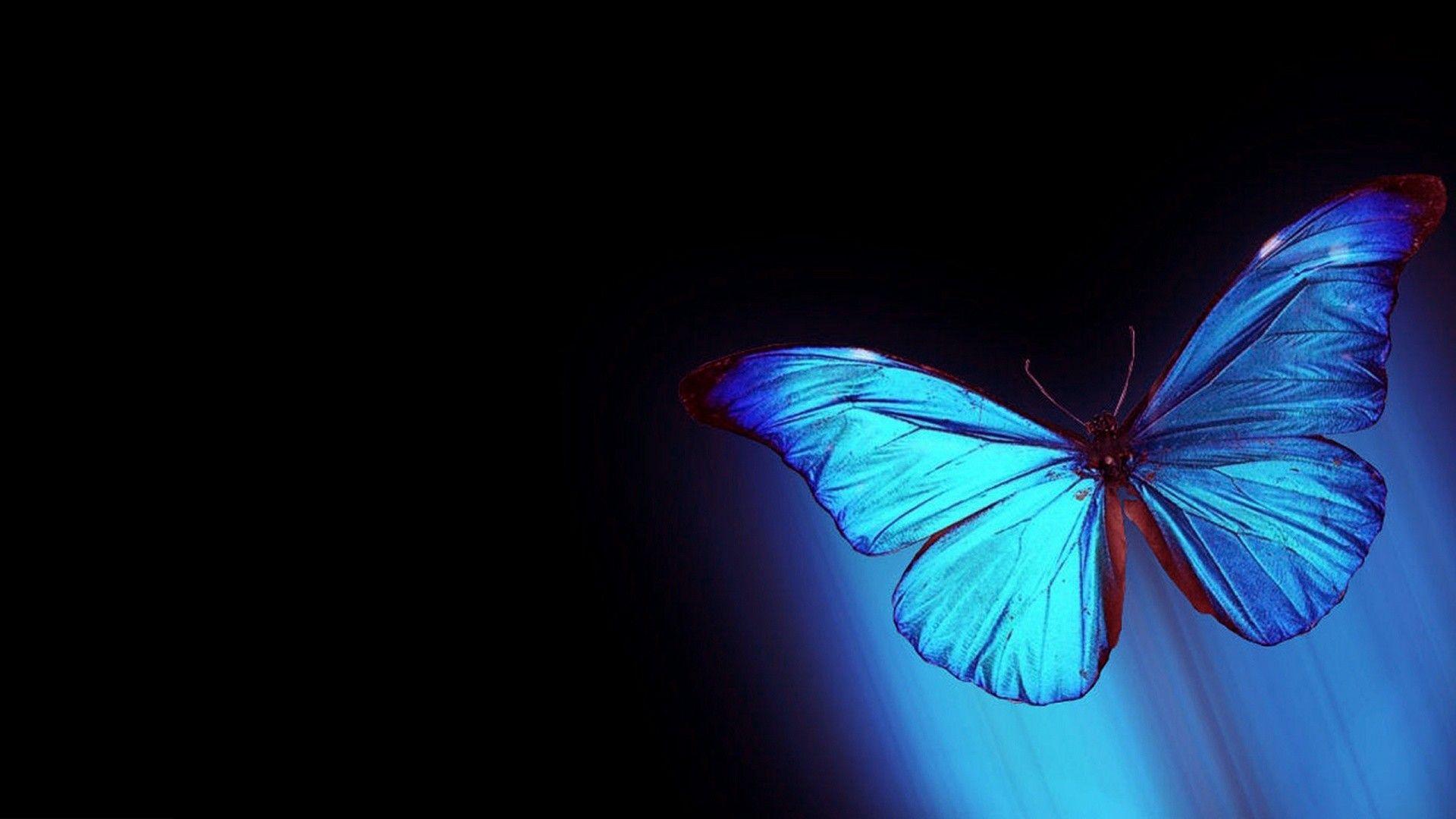 1920x1080 Abstract Butterfly Wallpaper