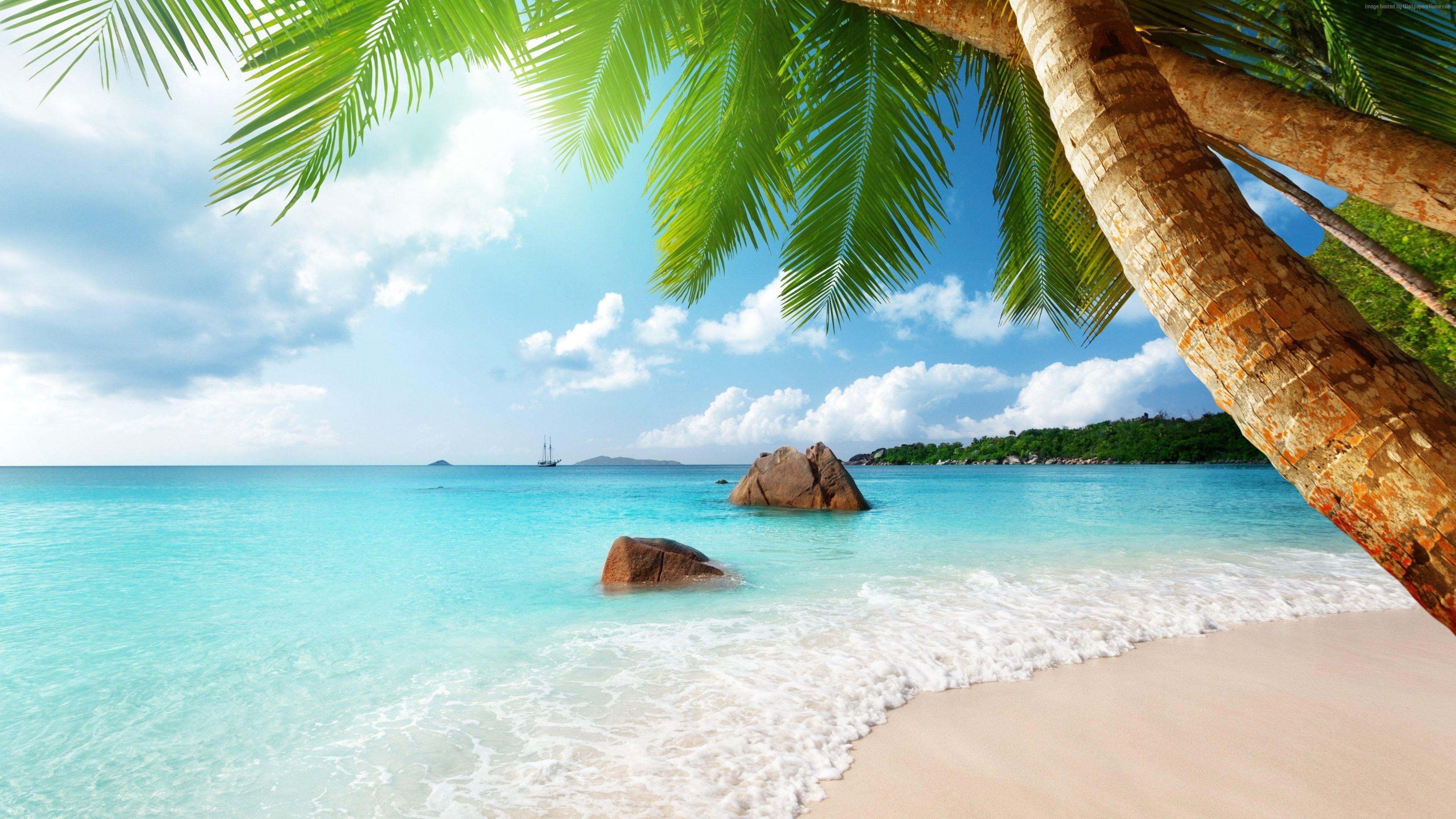 4K Beach Wallpapers Top Free 4K Beach Backgrounds WallpaperAccess