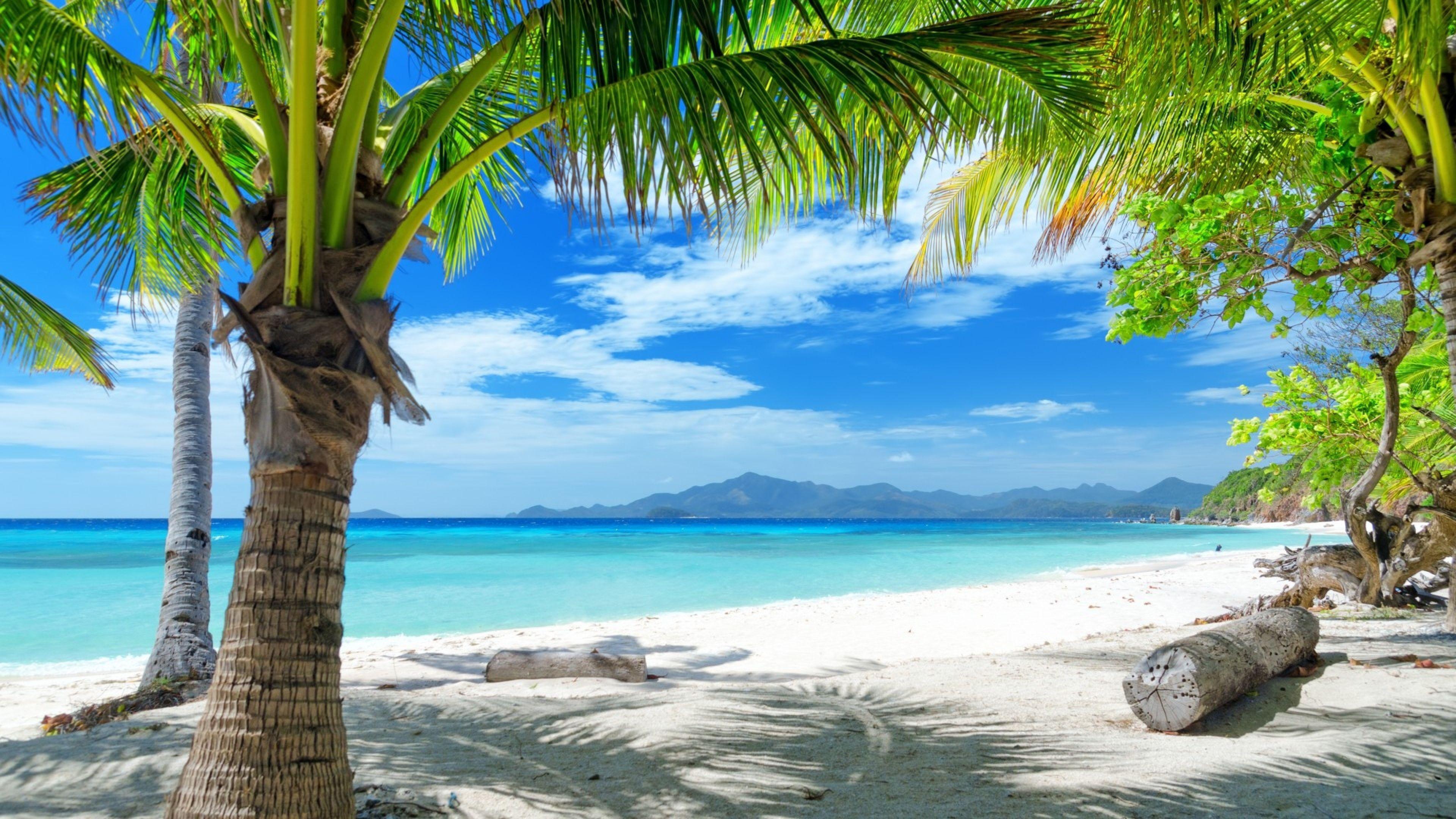 4K Tropical Wallpapers Top Free 4K Tropical Backgrounds WallpaperAccess 4K Tropical Wallpapers Top Free 4K Tropical Backgrounds WallpaperAccess