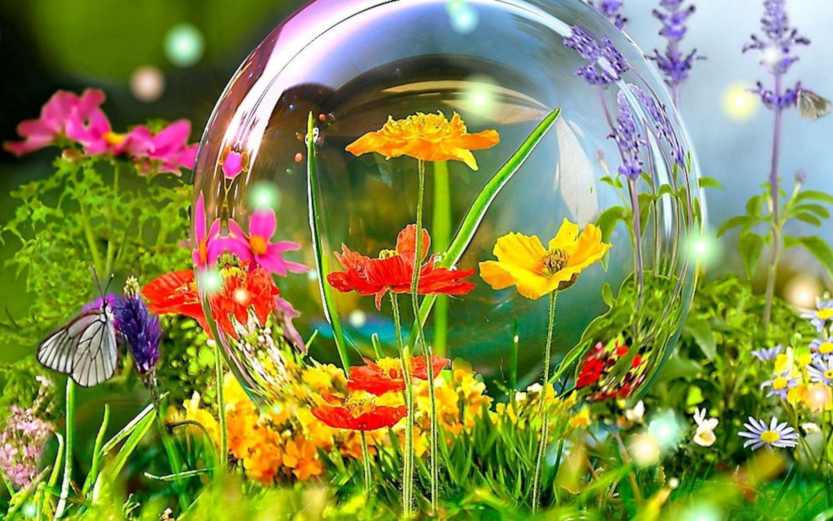 1680x1050 Spring widescreen wallpaper