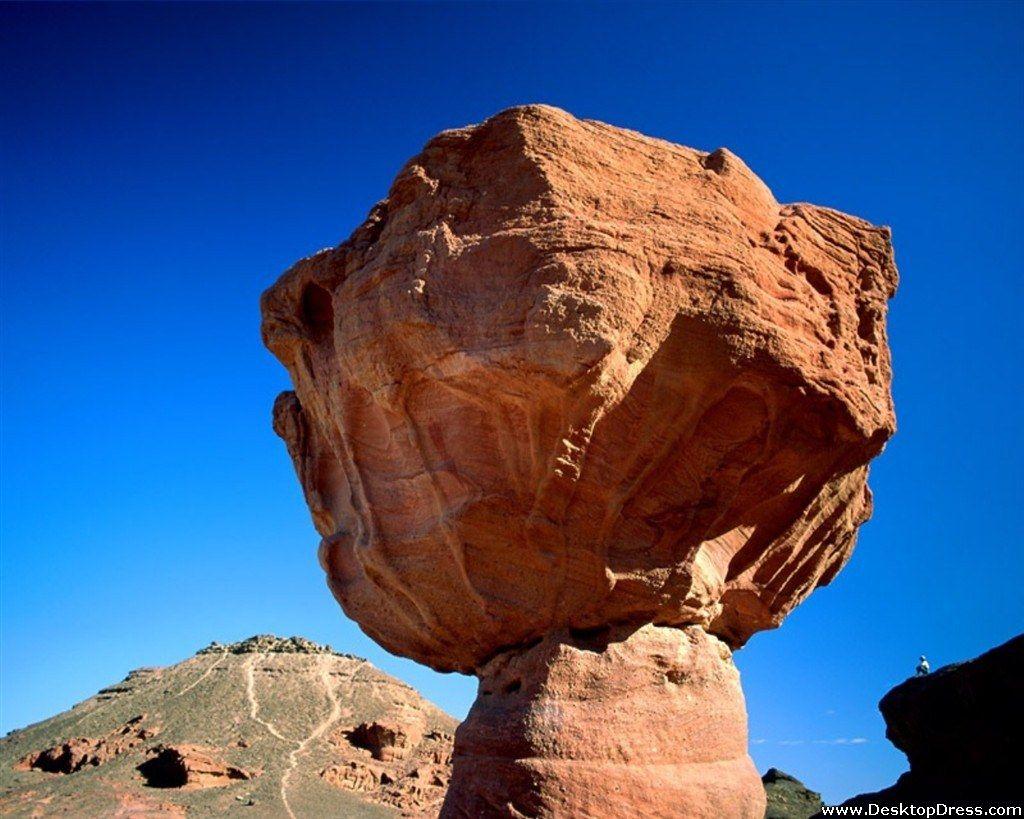 1024x819 Desktop Wallpaper Natural Background Mushroom Rock