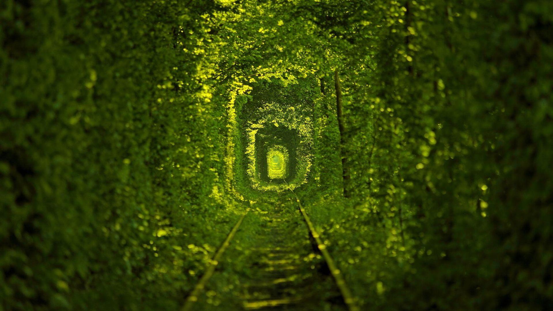 1920x1080 nature, tramways, the tunnel of love, ukraine