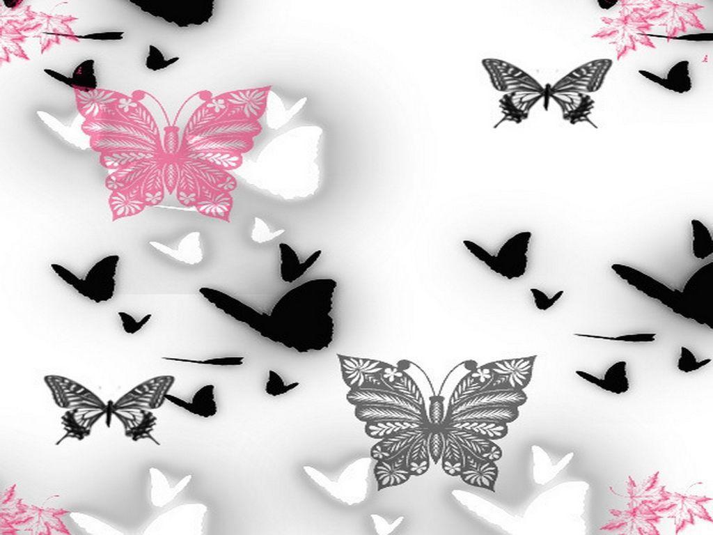 1024x768 Black Butterfly Wallpaper