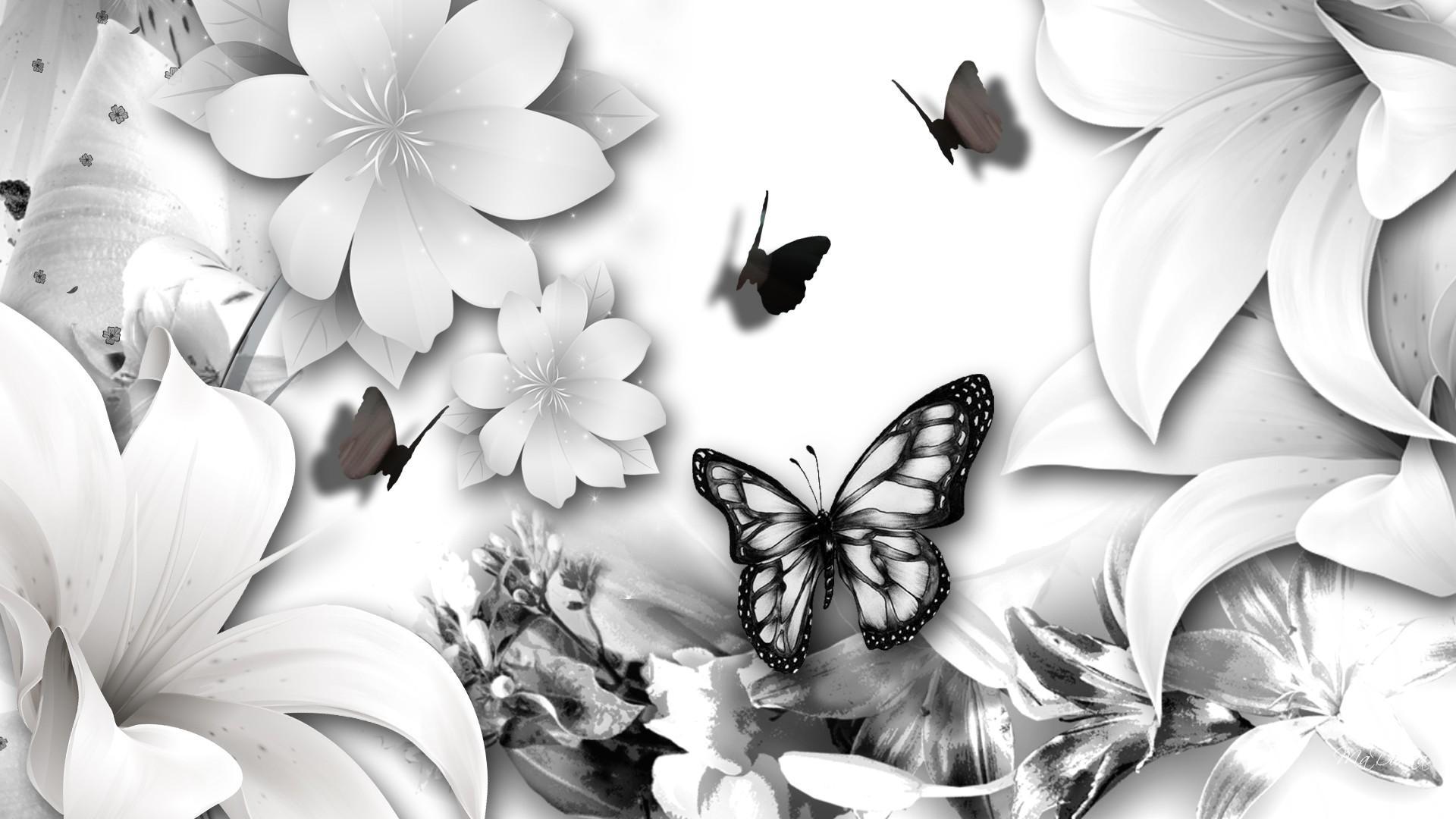 HD wallpaper Black  White Butterfly abstract beautiful digital 3d and  abstract  Wallpaper Flare