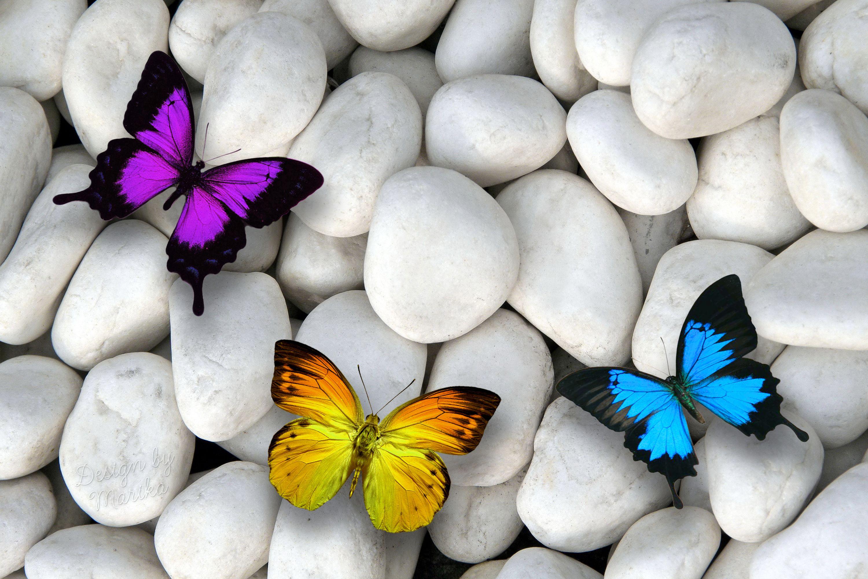 3000x2000 Wallpaper Colorful, Butterflies, White stones, HD, Animals