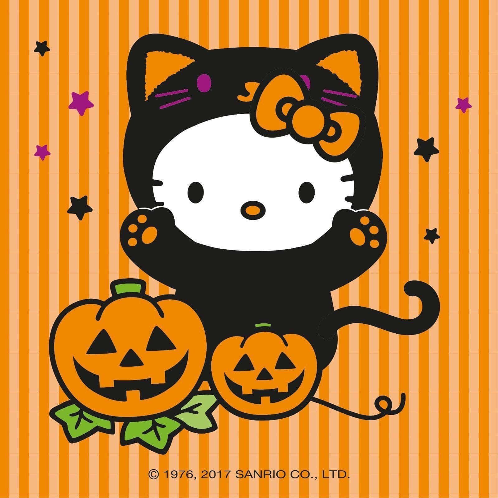 1600x1600 Download Hello Kitty Orange Halloween