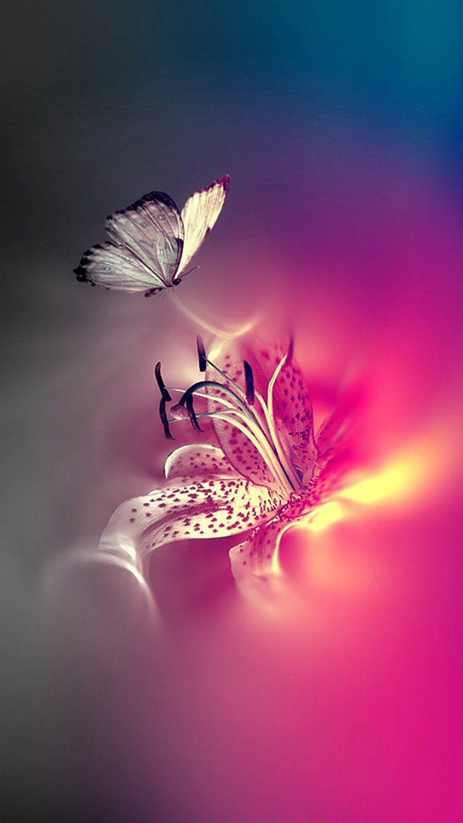 675x1200 QHD Wallpaper