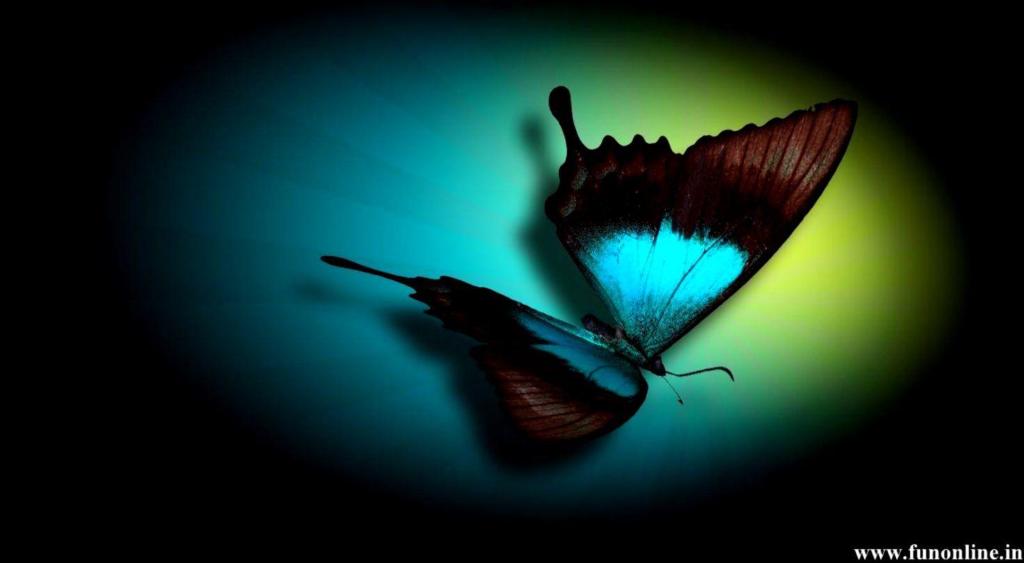 1472x810 Beautiful Color Butterfly Wallpaper HD