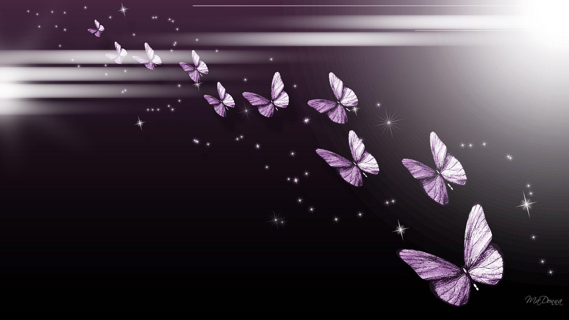 1920x1080 Free Purple Butterfly Wallpaper HD at Abstract Monodomo