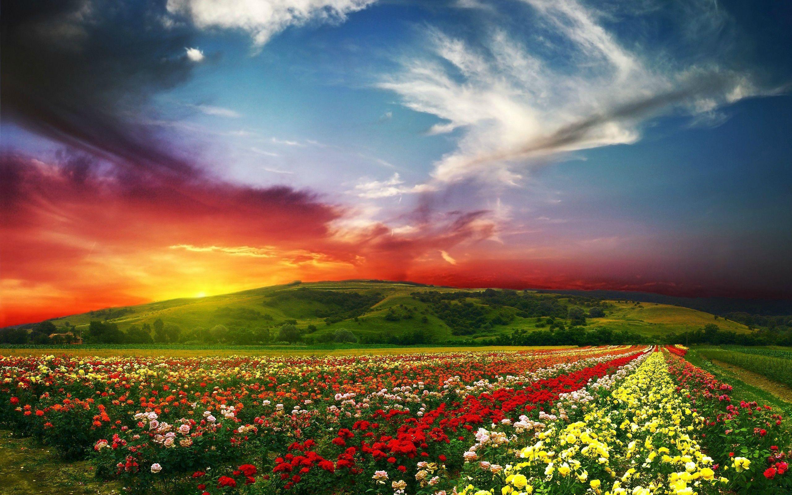2560x1600 Clouds Bulgaria Sky Nature wallpaper Gallery