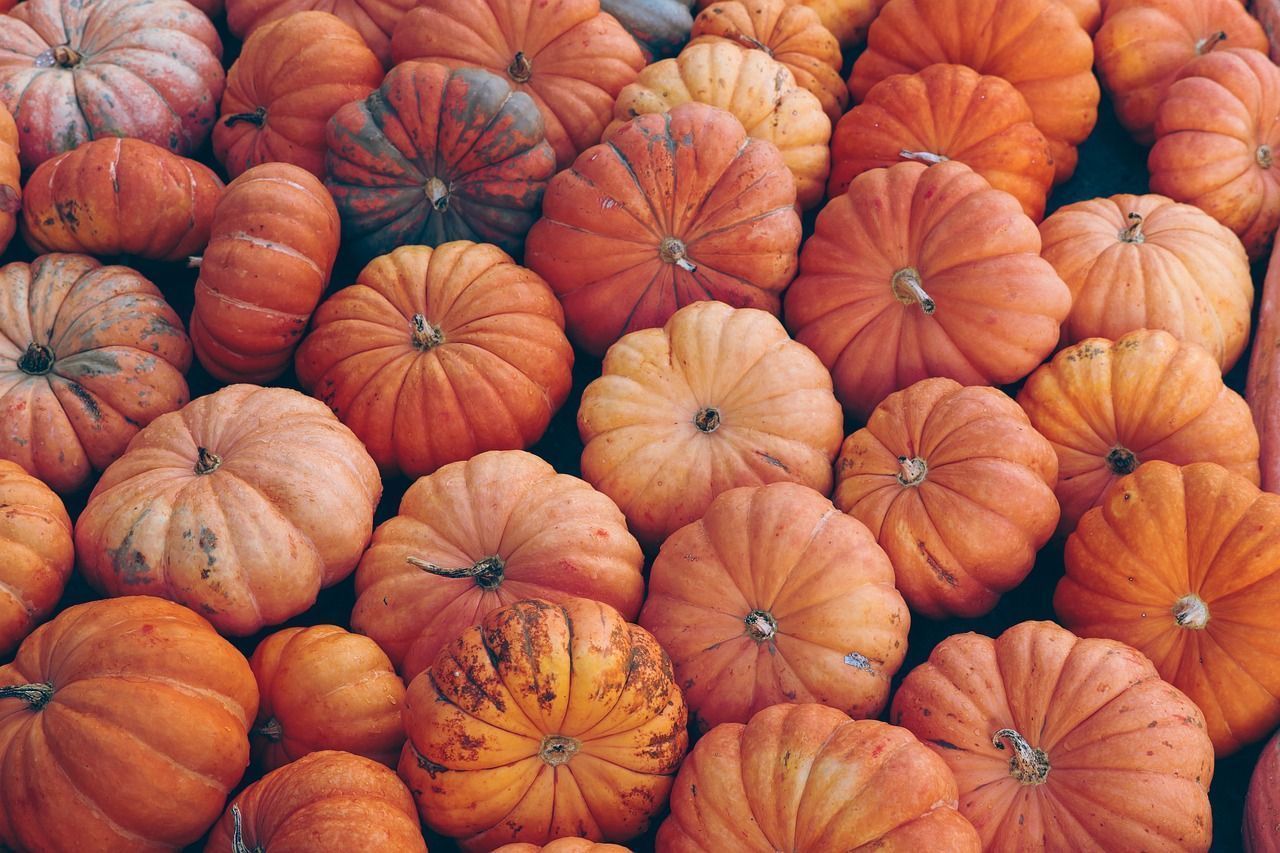 1280x853 my Halloween pumpkins