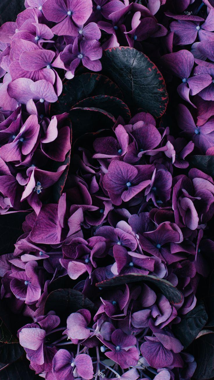 736x1308 Vintage floral iPhone Wallpaper Collection