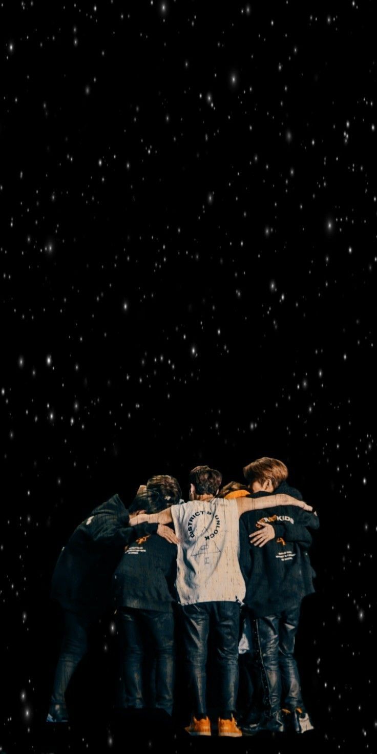 736x1472 Stray Kids Wallpaper