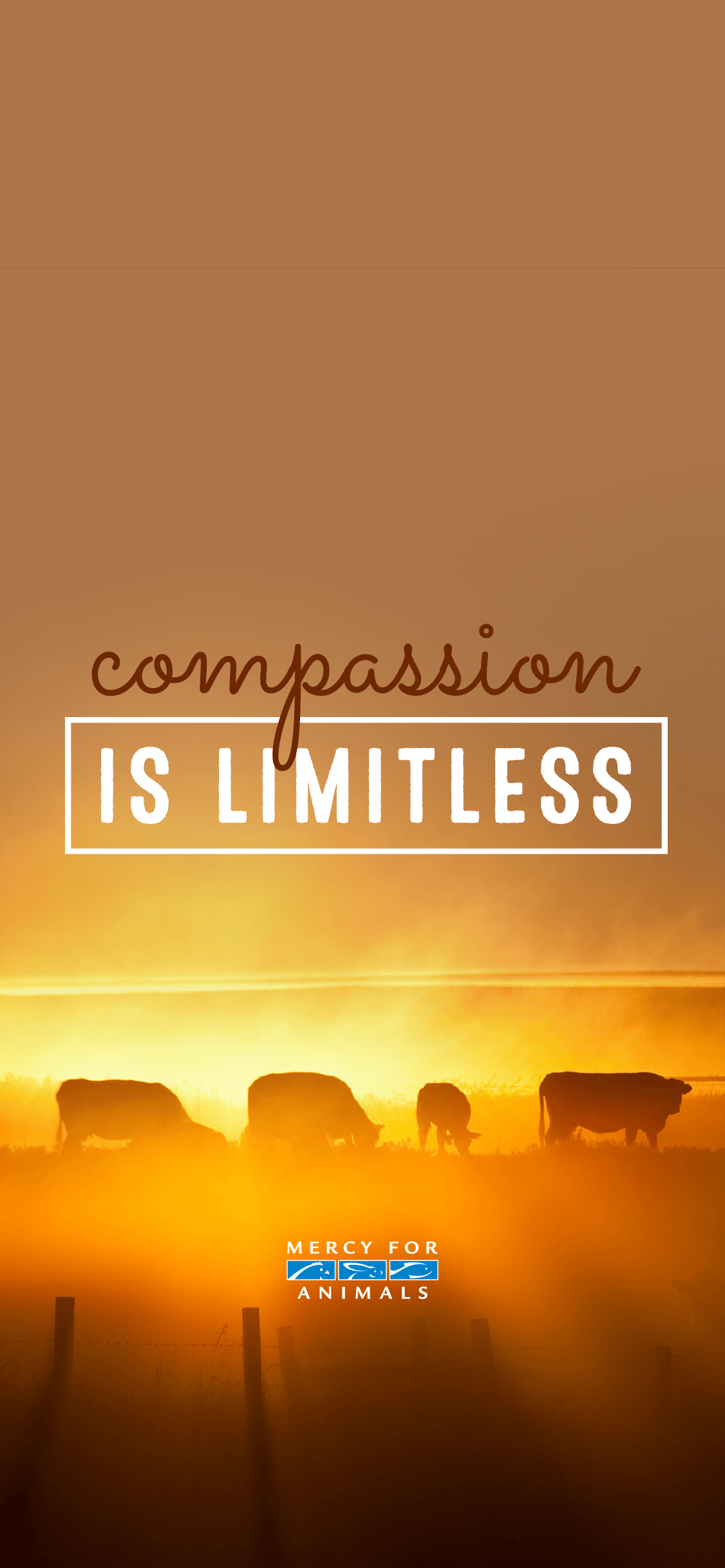Compassion Wallpapers - Top Free Compassion Backgrounds - WallpaperAccess