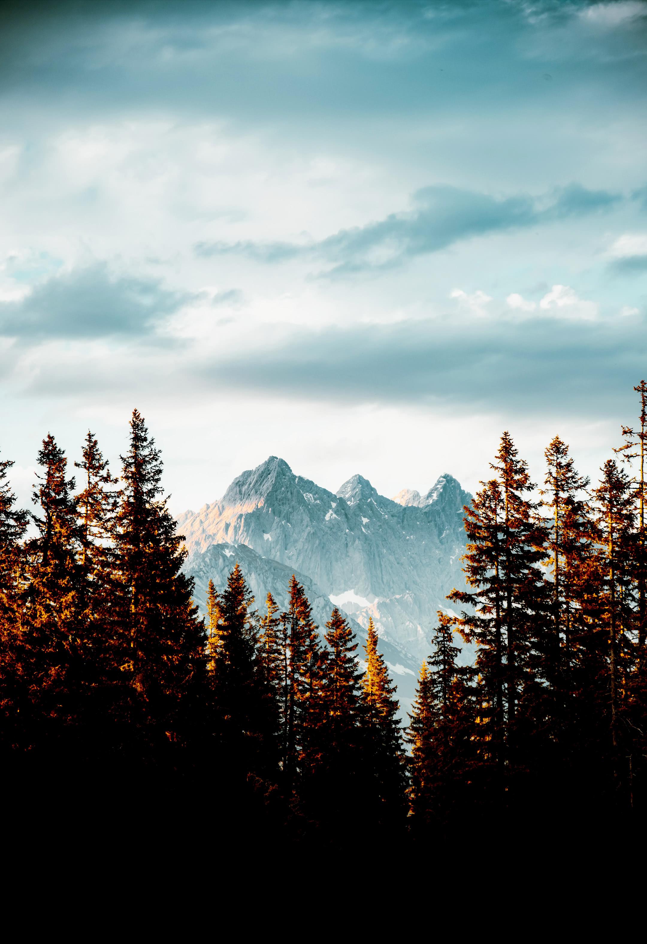 2160x3152 Natural beauty AMOLED WALLPAPER 4K (resolution- 2160×4800)