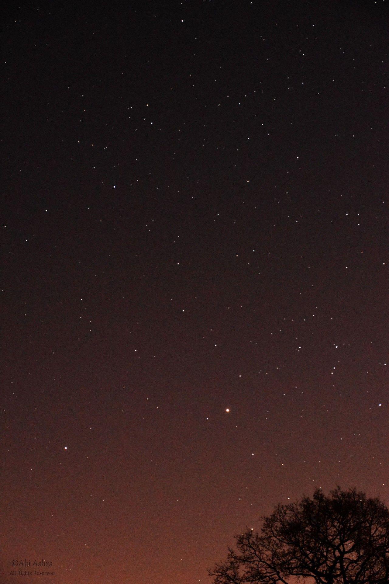 1280x1920 evening sky stars trees wallpaper and background
