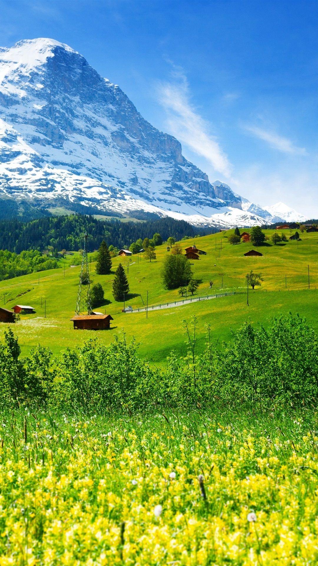 1080x1920 Switzerland, mountains, glacier valley, grass, wildflowers