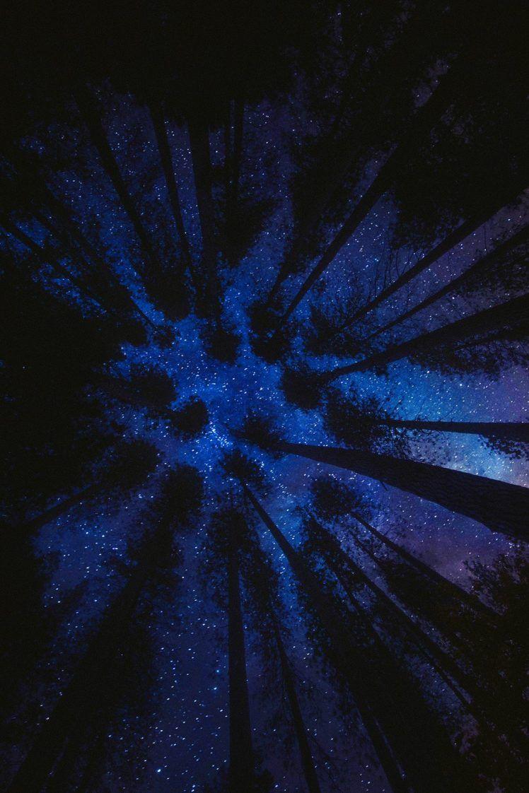 748x1122 trees, Evening, Stars Wallpaper HD / Desktop and Mobile