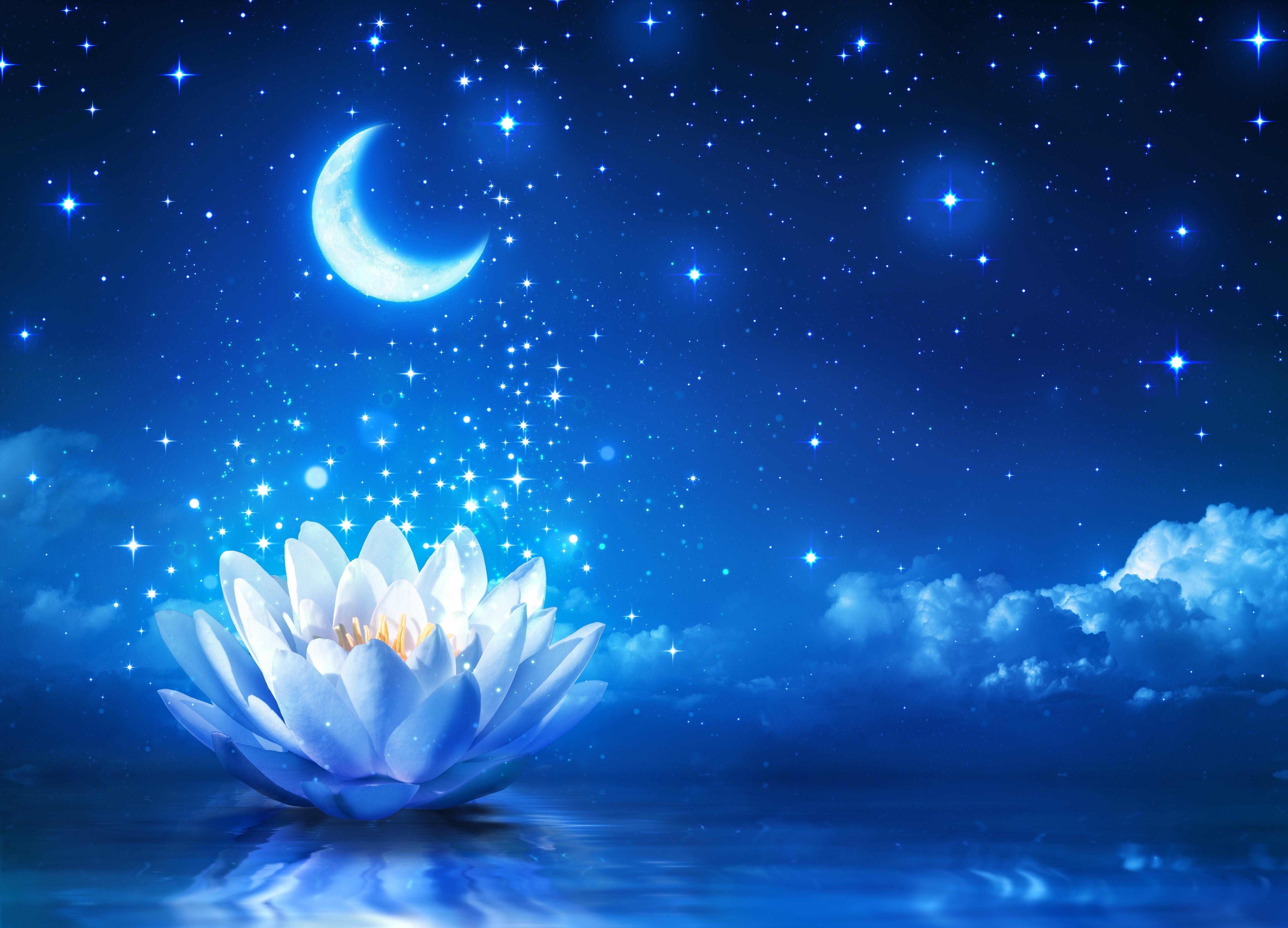 5371x3869 moon sky night lotus flowers stars wallpaper