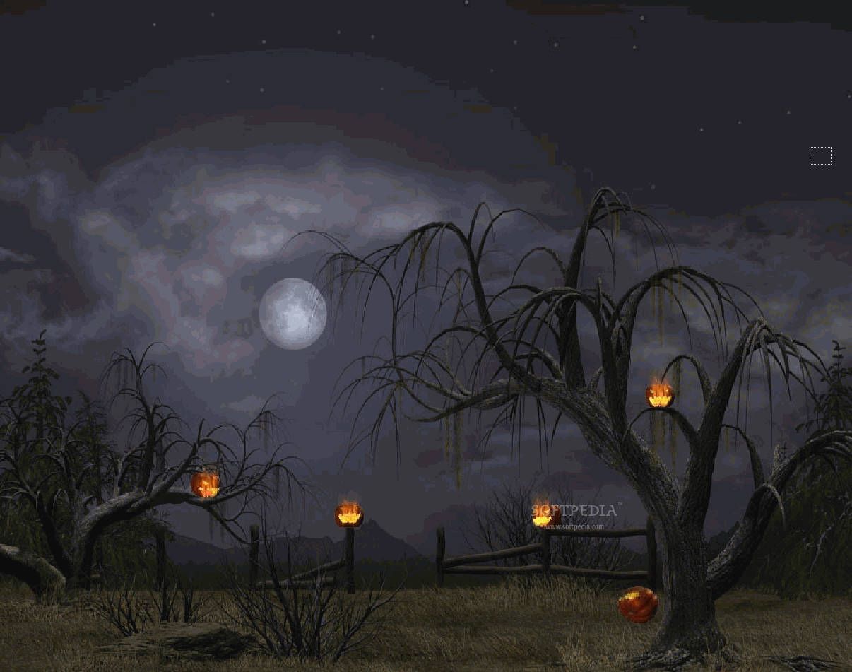 1206x951 Dark Halloween Tree Lanterns Wallpaper