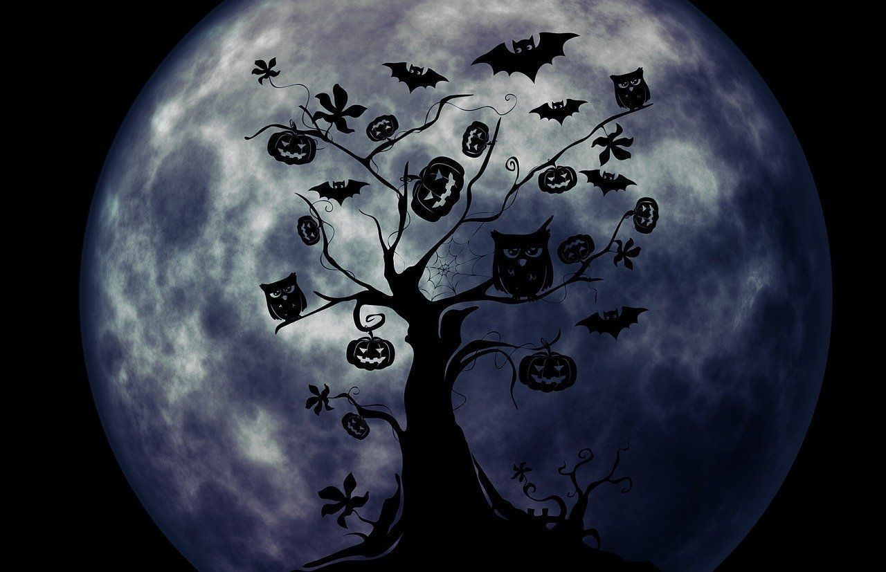 1280x827 Download Halloween, Tree, Owl. Royalty