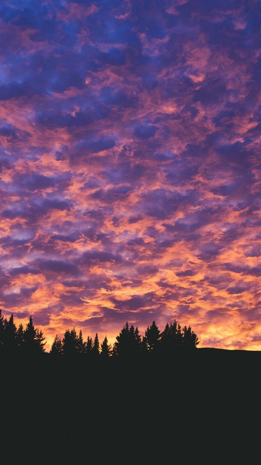 1080x1920 Download 1080x1920 Sunset, Trees Silhouette, Evening, Sky