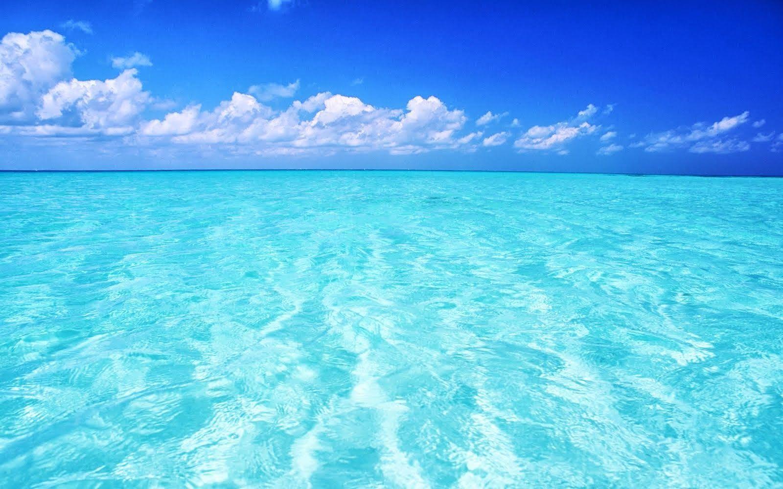 1600x1000 Aquamarine Wallpaper